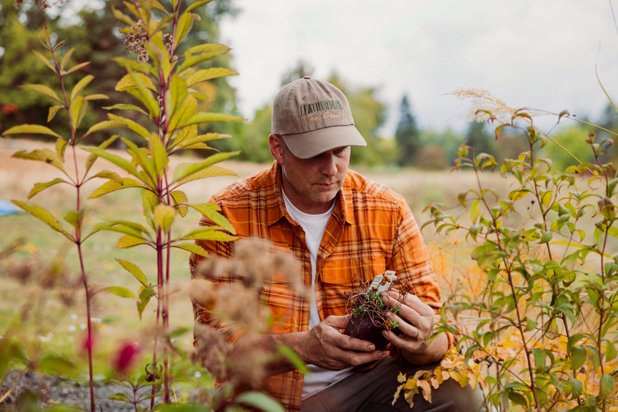 Translation missing: en.A man in a driftwood colored Leatherman Dad Hat inspecting a newly purchased plant before planting